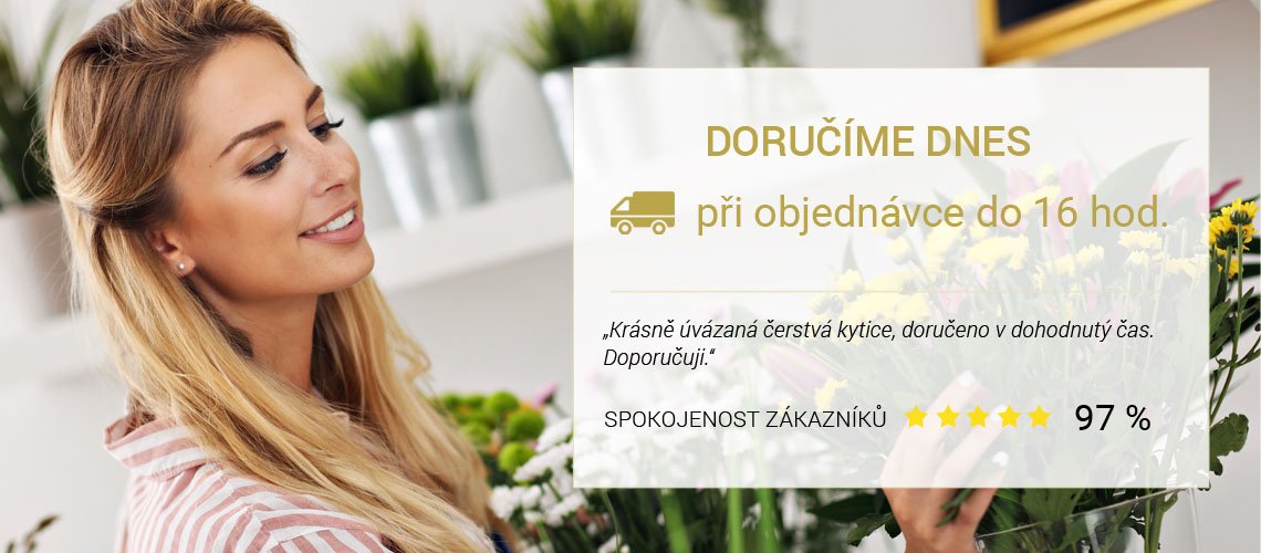 Doručování ČR Doručování ČR